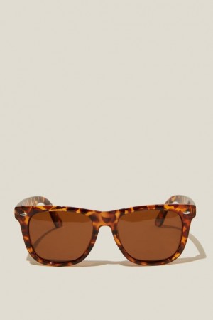 Gafas de Sol Cotton On Beckley Polarized Hombre Marrones | awX7OjvVgj1