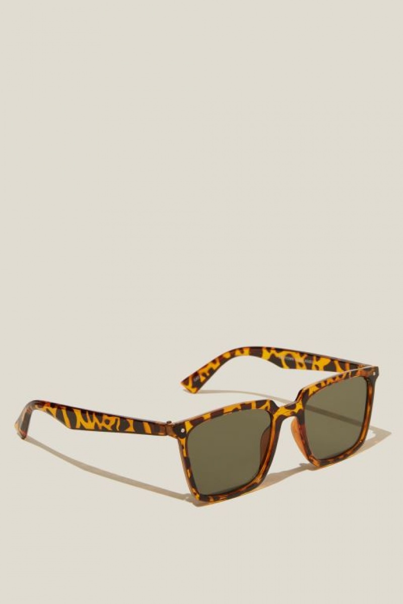 Gafas de Sol Cotton On Newtown Hombre Tort | H81uAKUmwyU