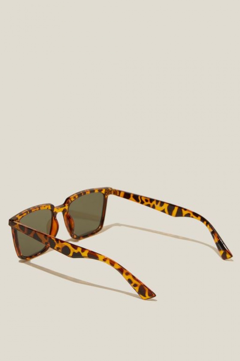 Gafas de Sol Cotton On Newtown Hombre Tort | H81uAKUmwyU