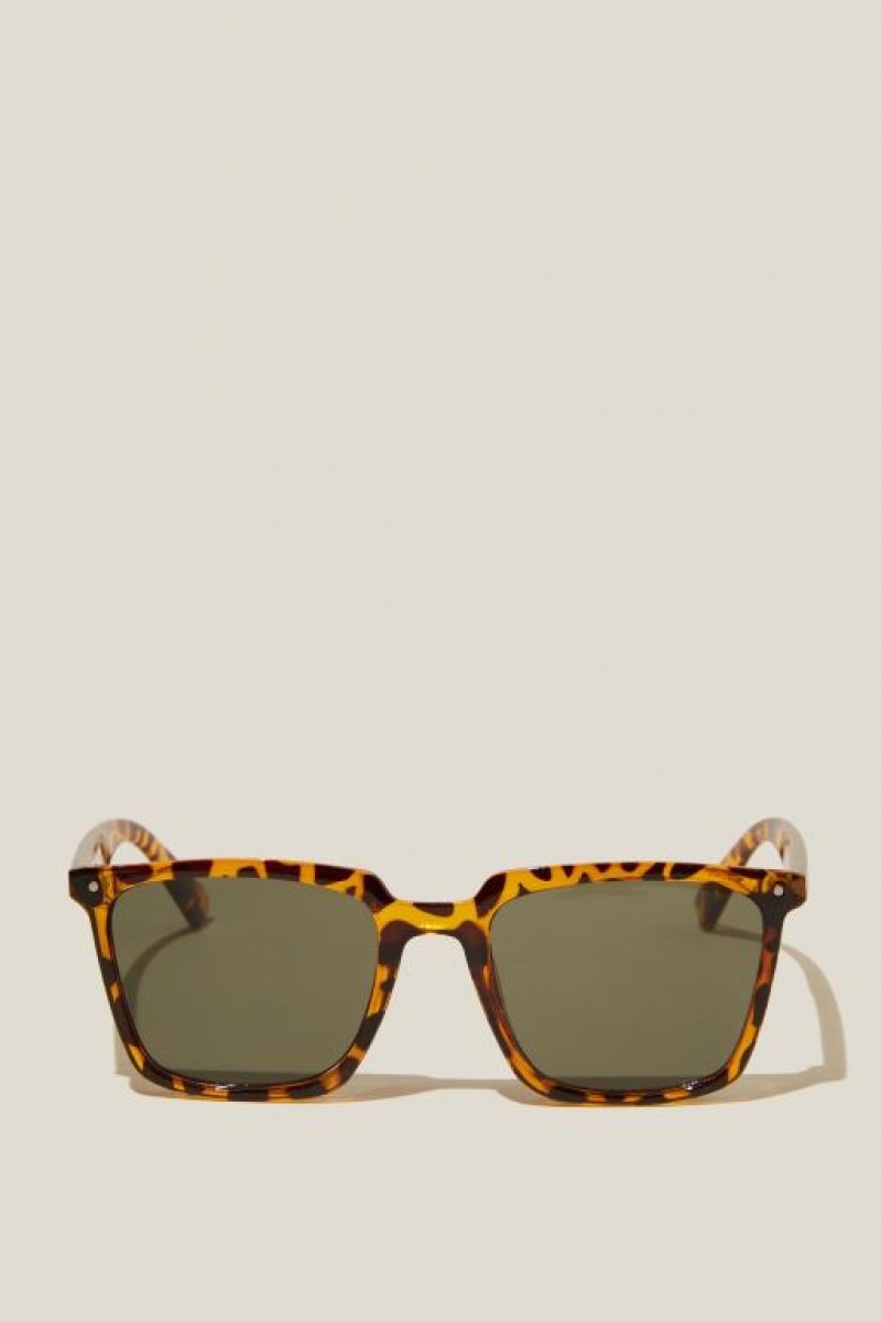 Gafas de Sol Cotton On Newtown Hombre Tort | H81uAKUmwyU