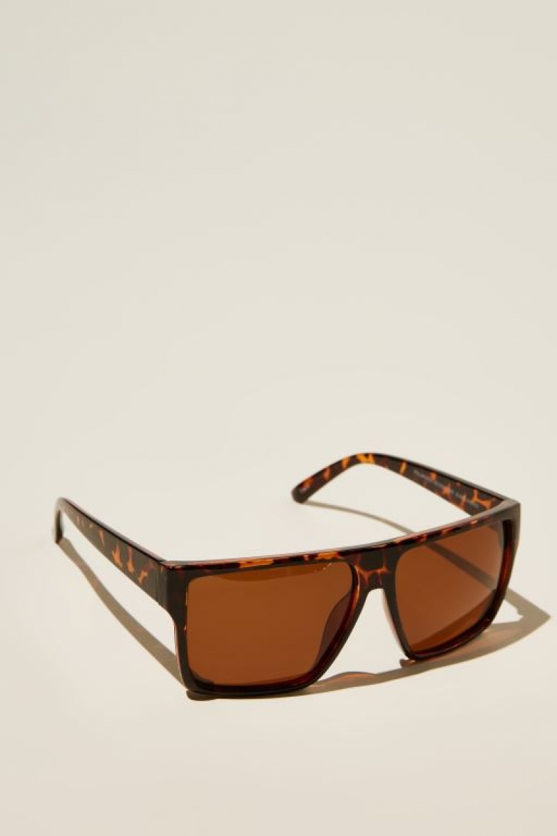 Gafas de Sol Cotton On Polarized Adventure Hombre Marrones | neI2DEdjocM