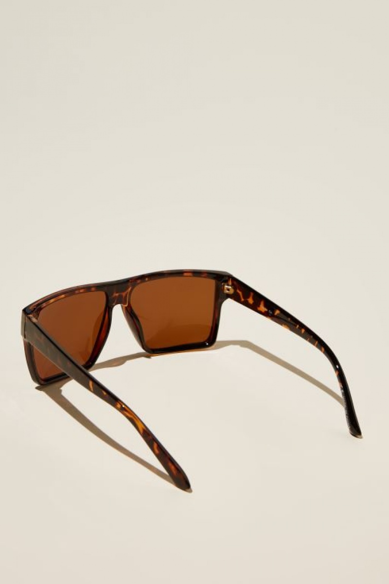 Gafas de Sol Cotton On Polarized Adventure Hombre Marrones | neI2DEdjocM